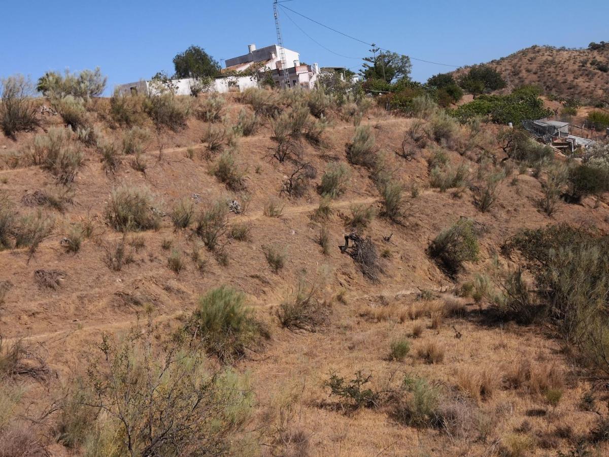 Finca La Pimienta Pizarra Zewnętrze zdjęcie